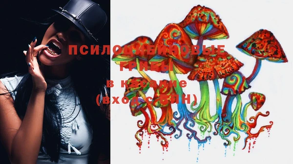 ГАЛЛЮЦИНОГЕННЫЕ ГРИБЫ Аркадак