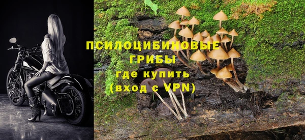 ГАЛЛЮЦИНОГЕННЫЕ ГРИБЫ Аркадак