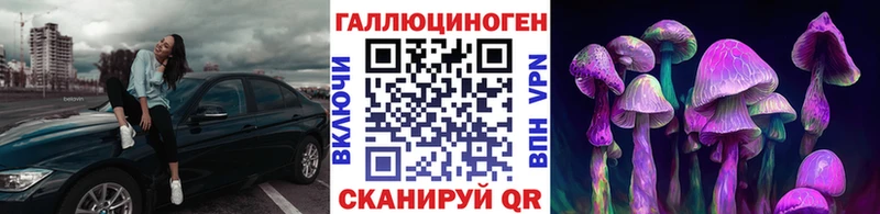 Псилоцибиновые грибы мицелий  Купить где  Ярославль 