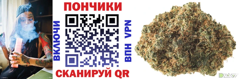 Купить  Ярославль  Марихуана OG Kush 